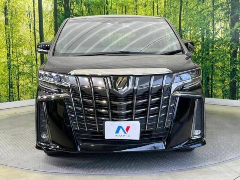 ALPHARD-15