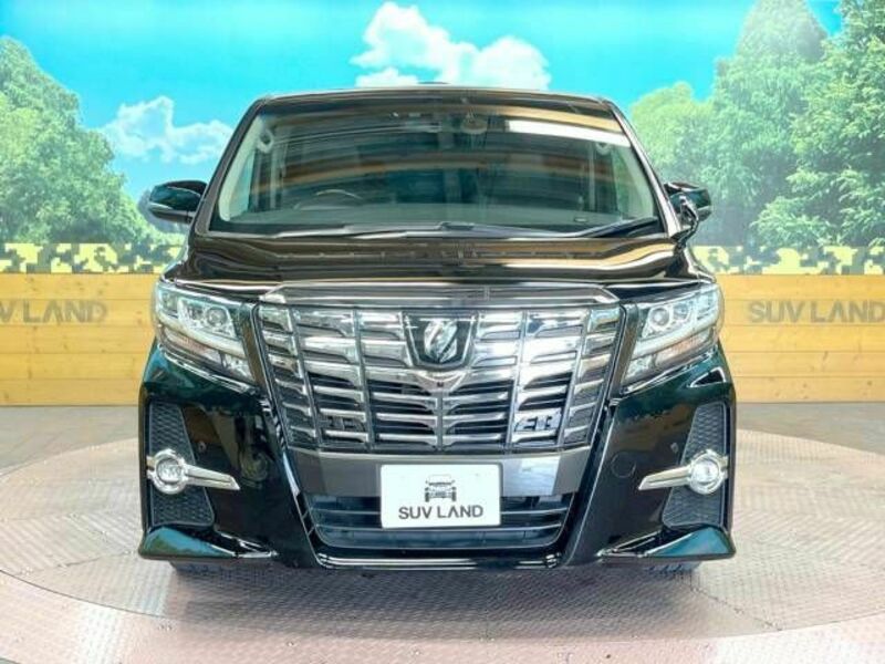 ALPHARD-15