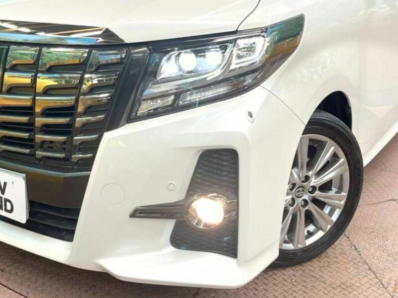 ALPHARD-12