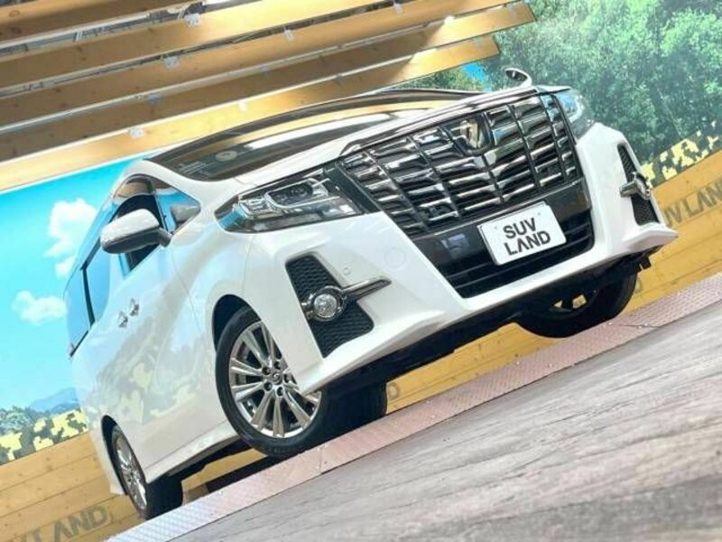 ALPHARD-16