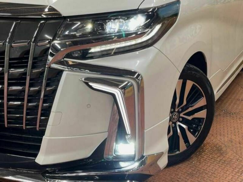 ALPHARD-13