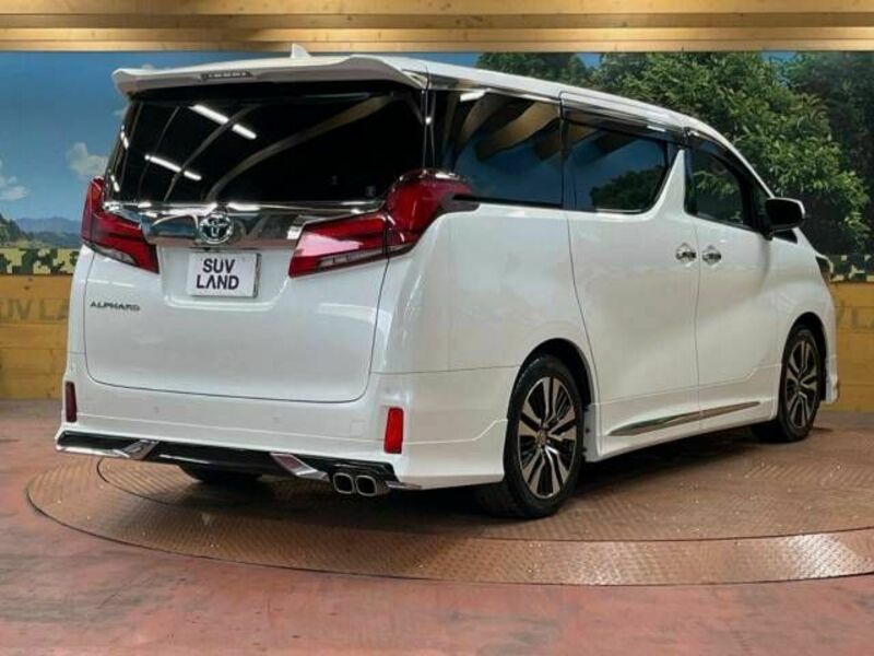 ALPHARD-18