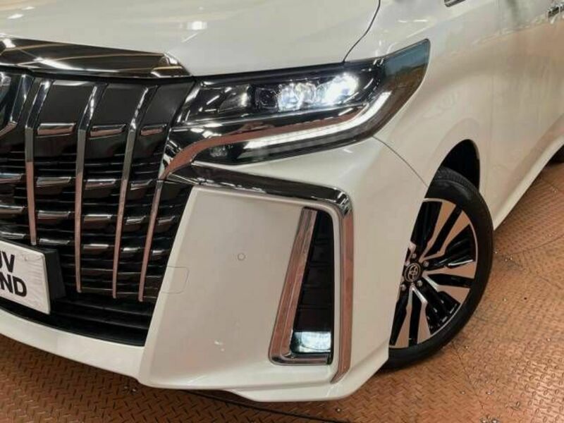 ALPHARD-14