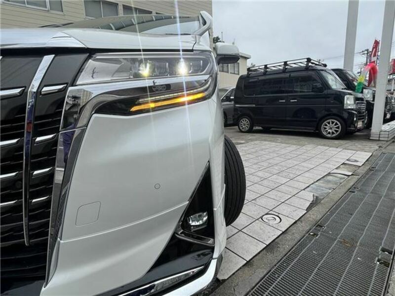 ALPHARD-31