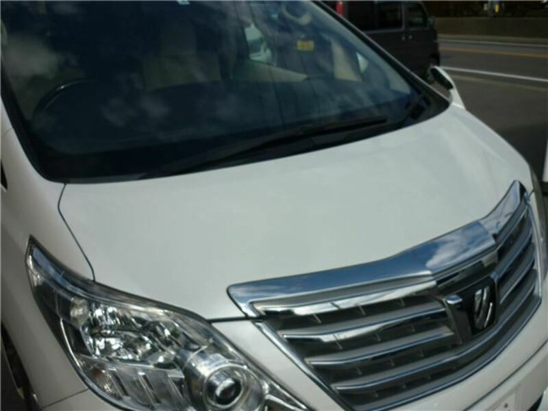 ALPHARD-11