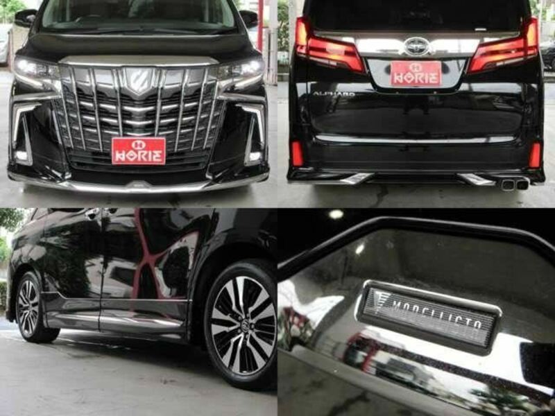 ALPHARD-38