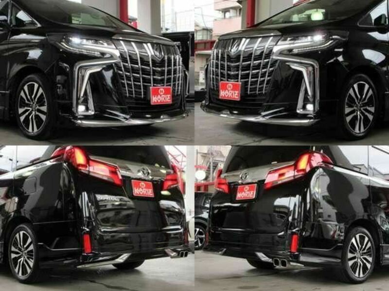 ALPHARD-39