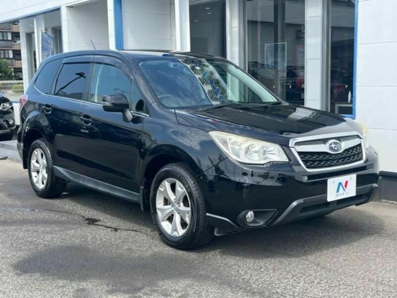 FORESTER-49