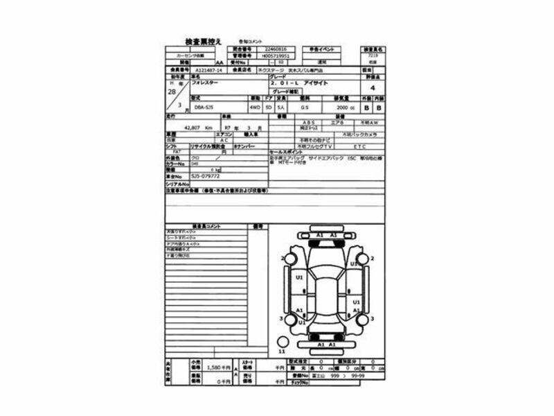 FORESTER-3