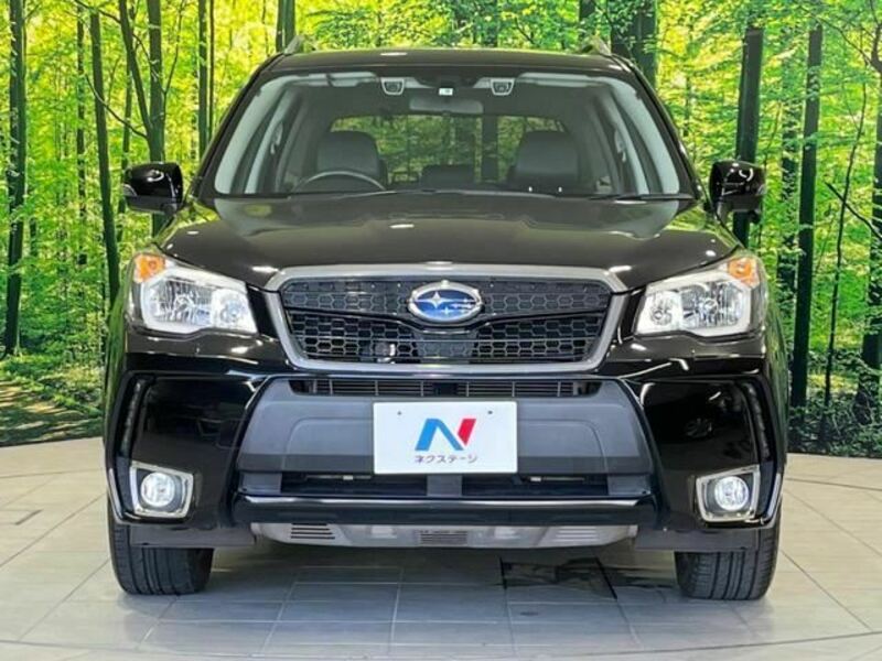 FORESTER-4