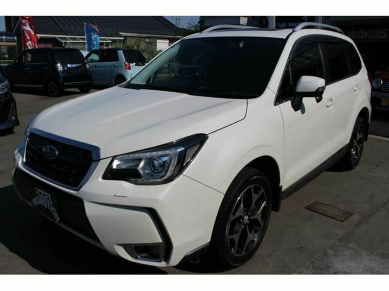 FORESTER-8