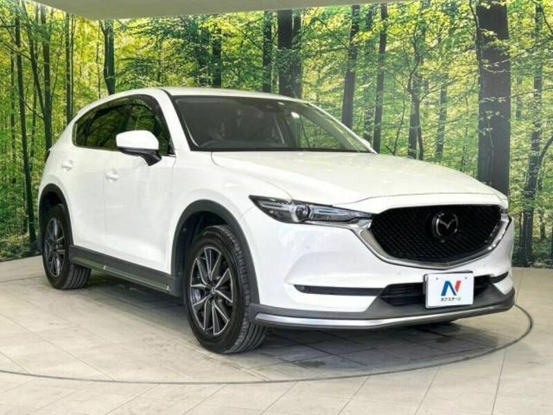 CX-5-16