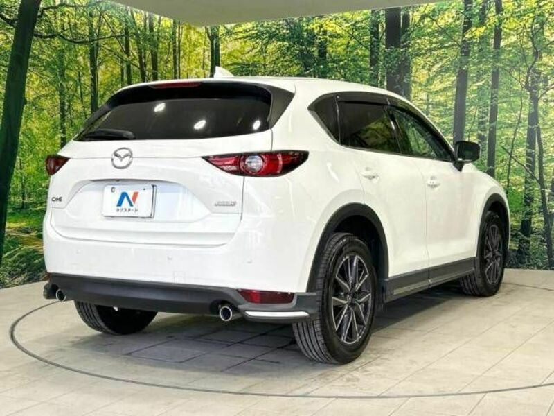 CX-5-17