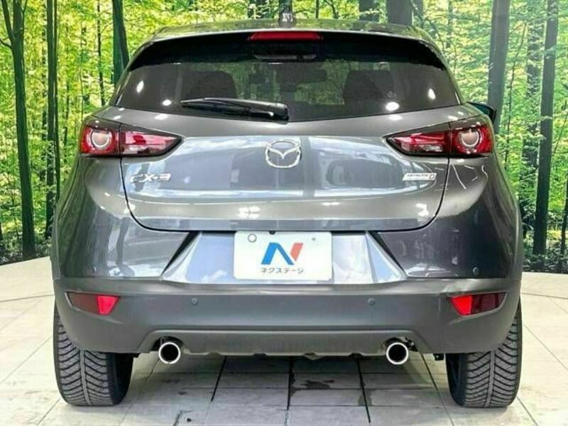 CX-3-15