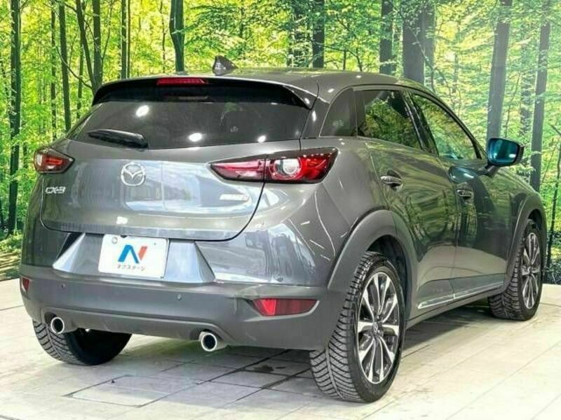 CX-3-17