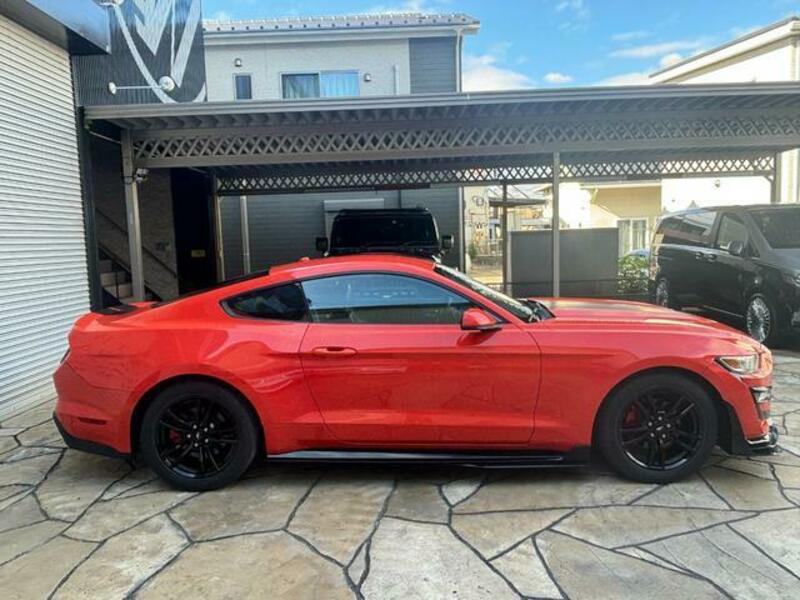 MUSTANG-16