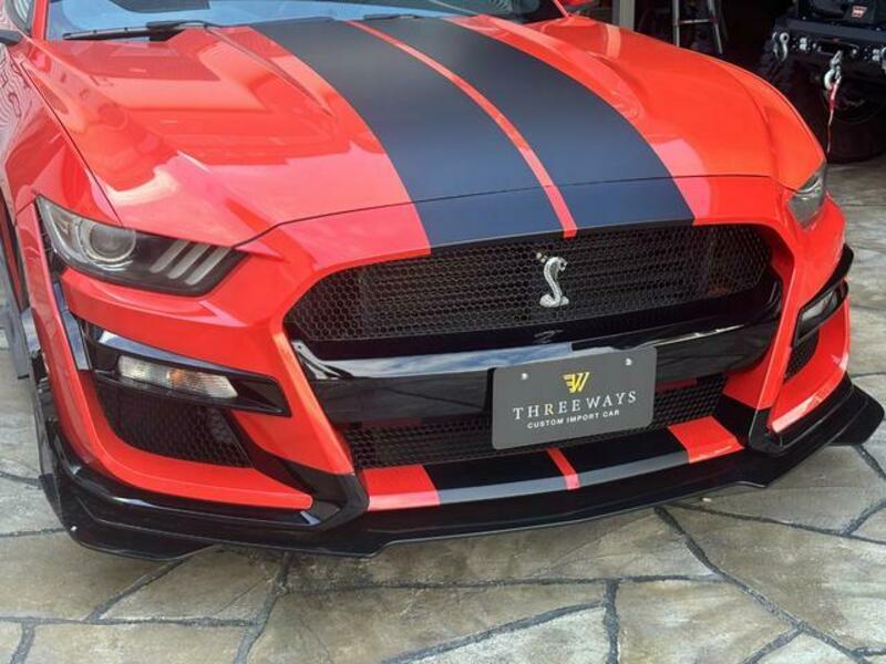 MUSTANG-10