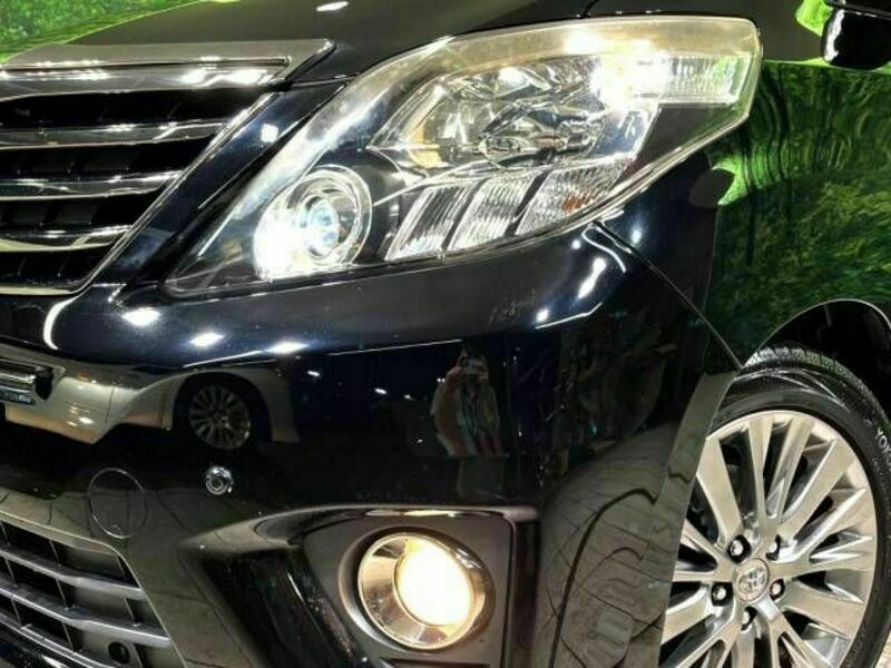 ALPHARD-14