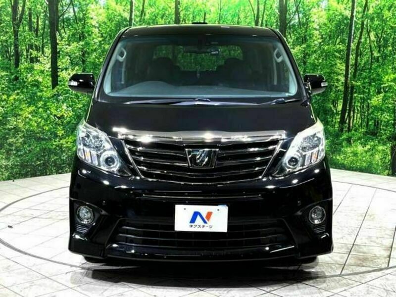 ALPHARD-16