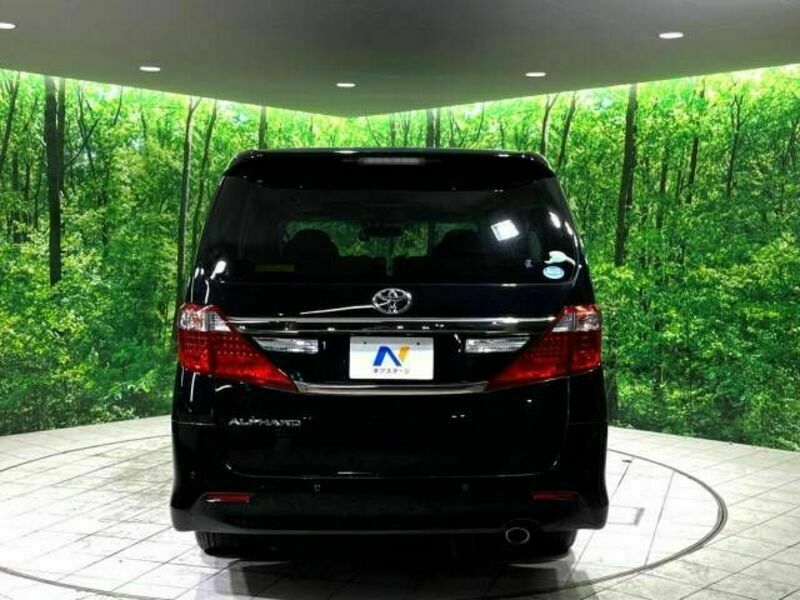 ALPHARD-17