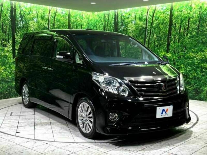 ALPHARD-18