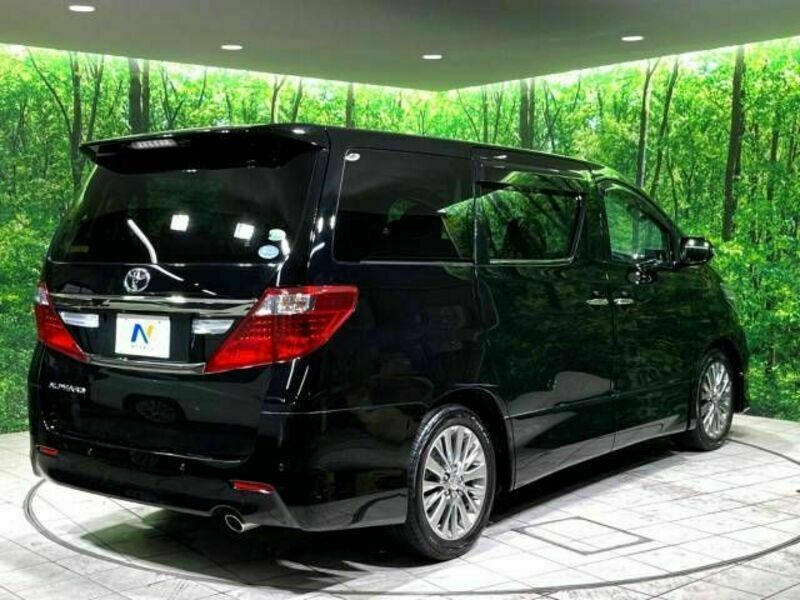 ALPHARD-19