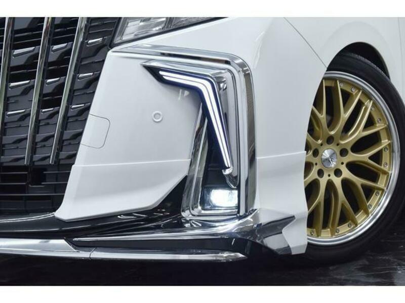 ALPHARD-15