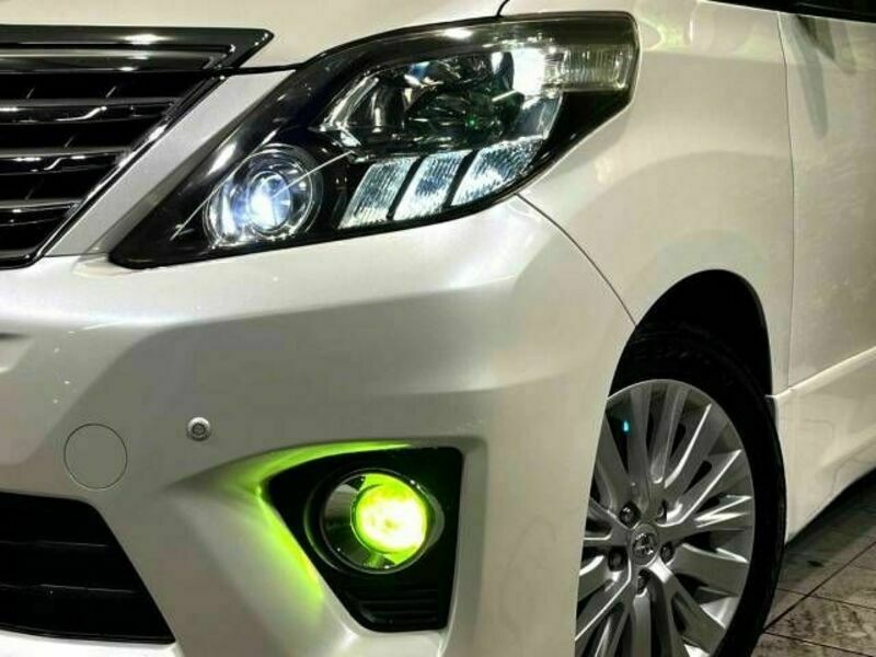 ALPHARD-13