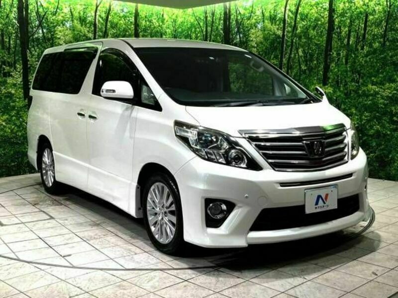 ALPHARD-17