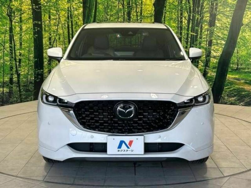 CX-5-14