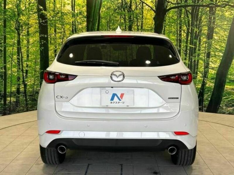 CX-5-15