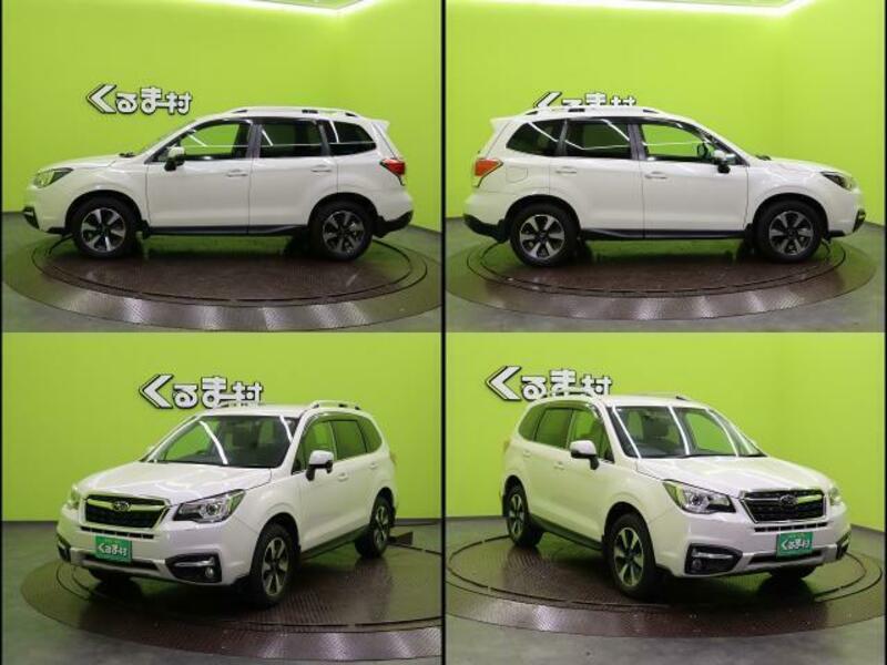 FORESTER-17