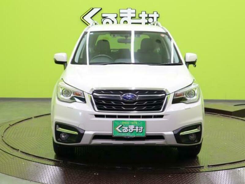 FORESTER-19