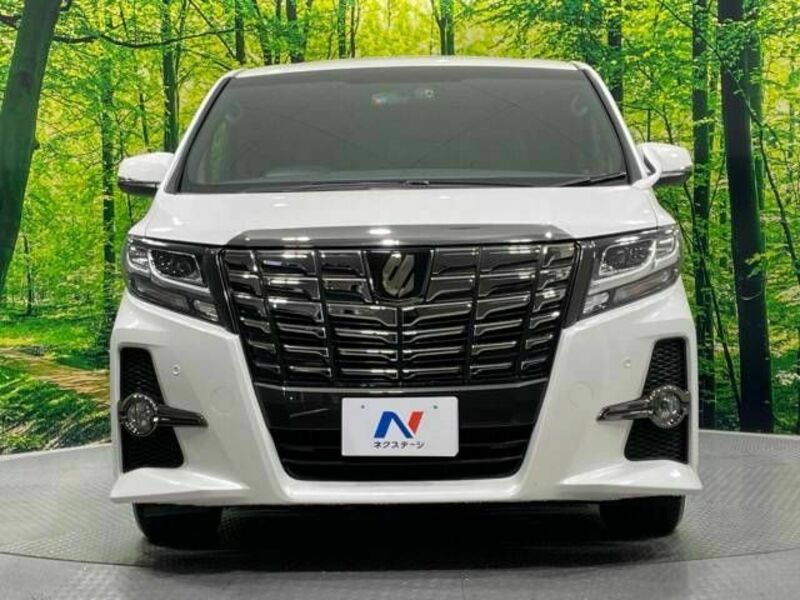 ALPHARD-14