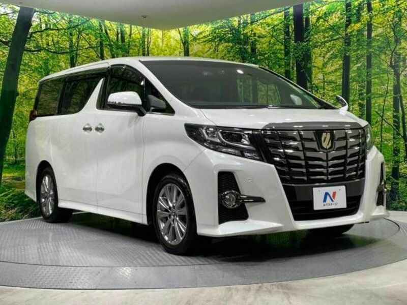 ALPHARD-16