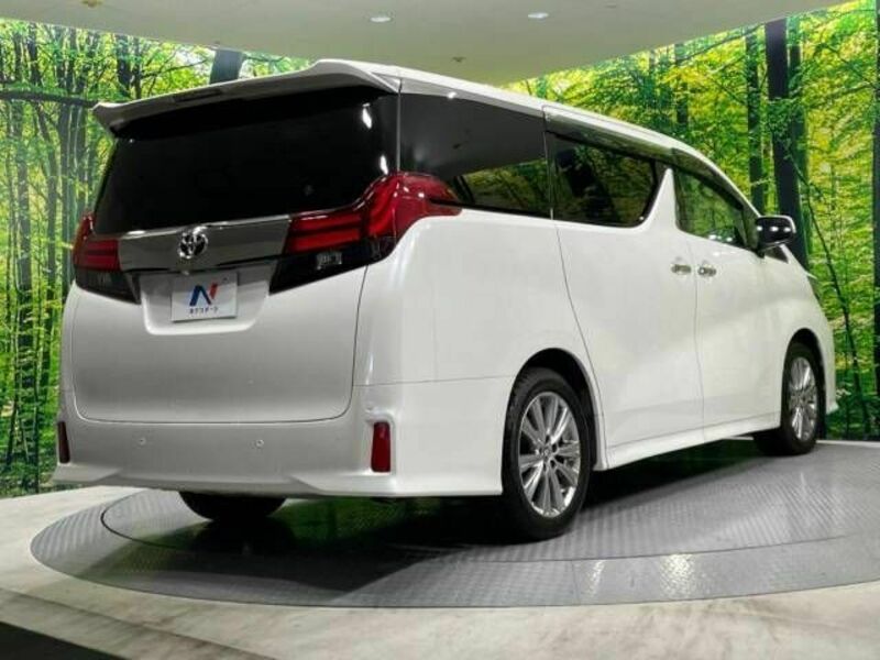 ALPHARD-17