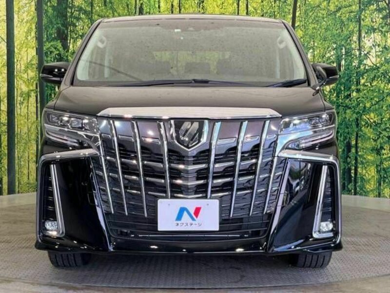 ALPHARD-14