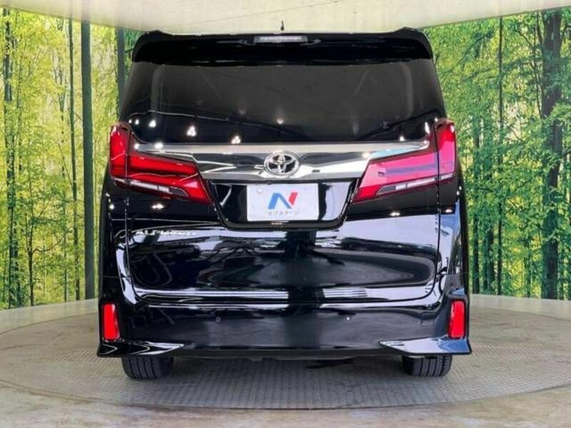 ALPHARD-15