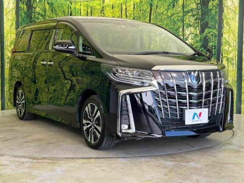 ALPHARD-16