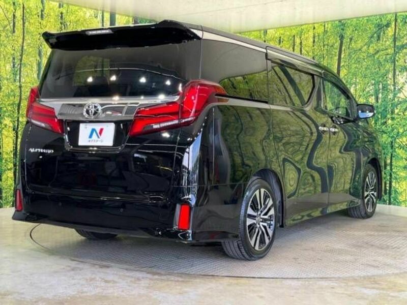 ALPHARD-17