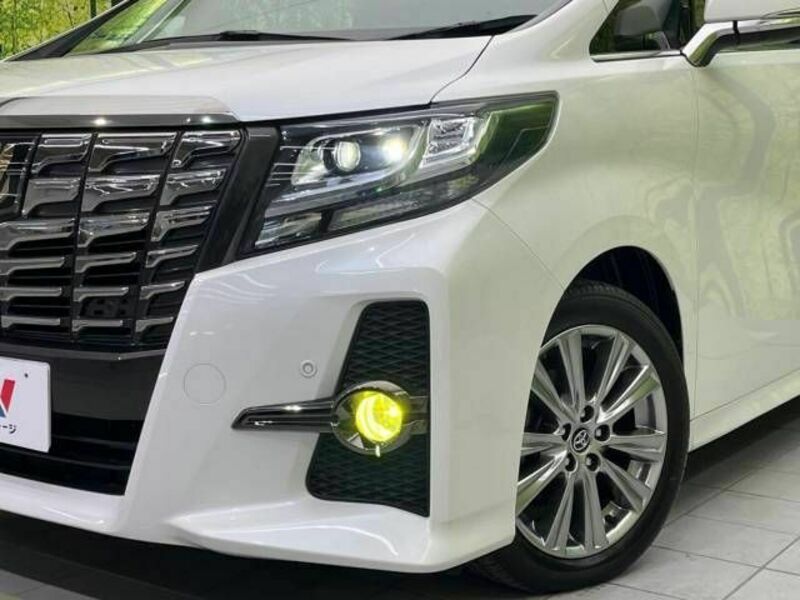 ALPHARD-13