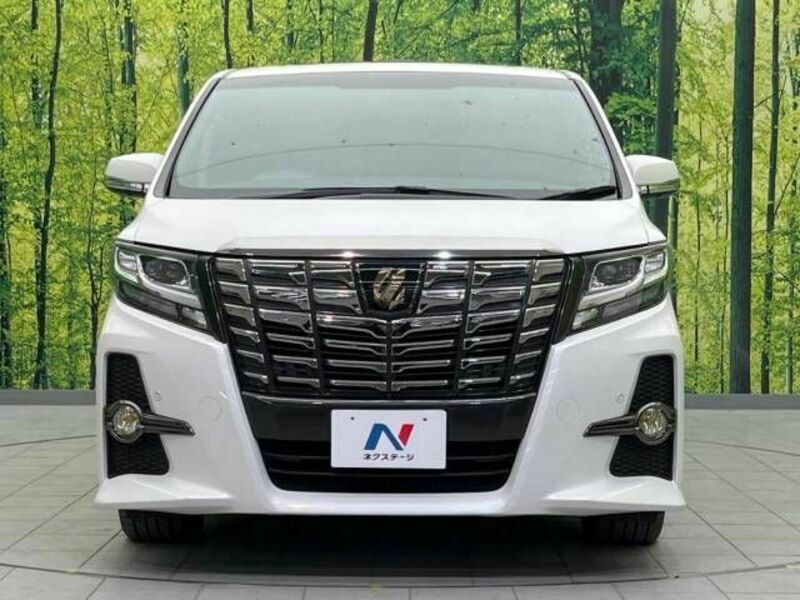 ALPHARD-15