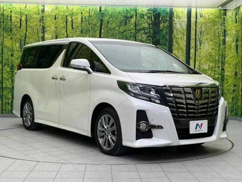 ALPHARD-17