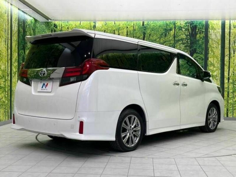 ALPHARD-18