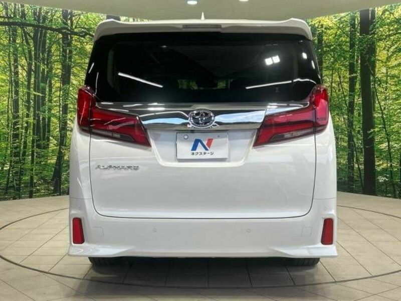 ALPHARD-15