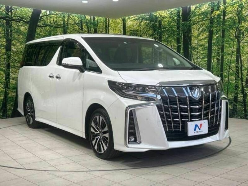 ALPHARD-16