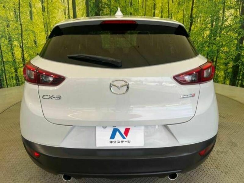 CX-3-15