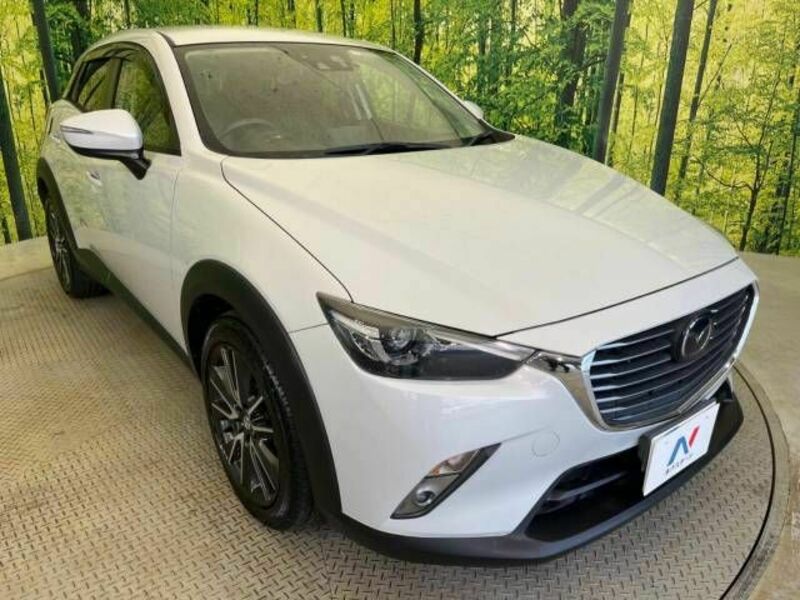 CX-3-16