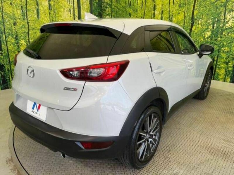 CX-3-17