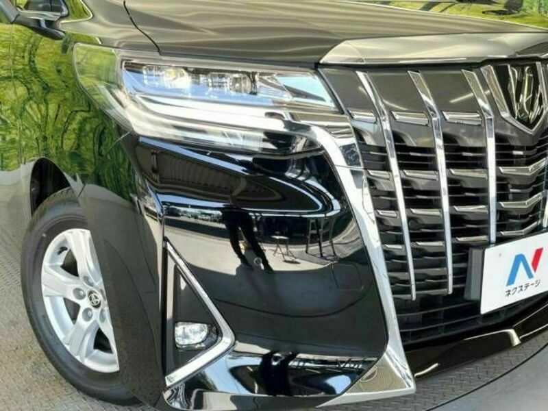 ALPHARD-11